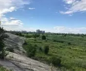 Parc Natural Văcărești