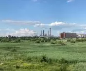 Parc Natural Văcărești