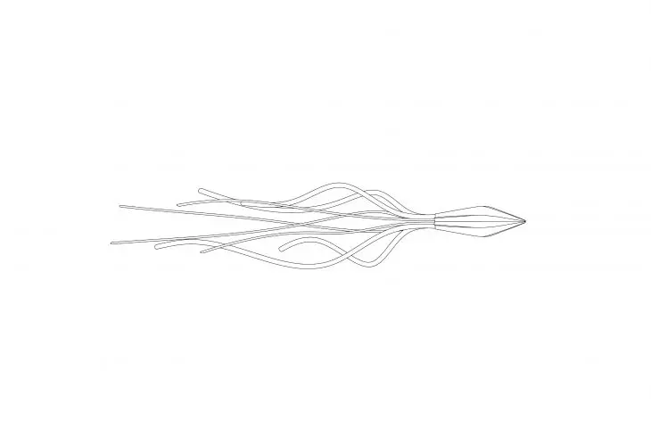 Kraken, sketch