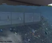 Widok z perspektywy nurka