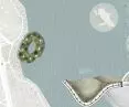 situation, site plan and detail