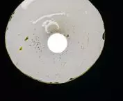 Ceramic gold-plated lamp