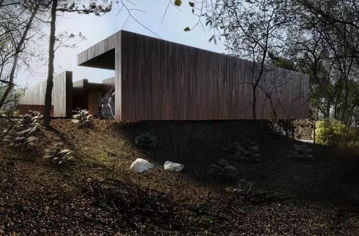 RE: ON THE ROCK HOUSE, wooden facade