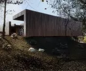 RE: ON THE ROCK HOUSE, wooden facade