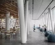 projections and visualization of the viewpoint
