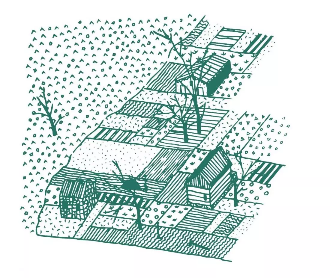 Ilustracja Weroniki Kozak