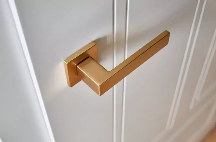 Fina door