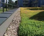 DELTA roofing membranes in insulating green and traditional roofs