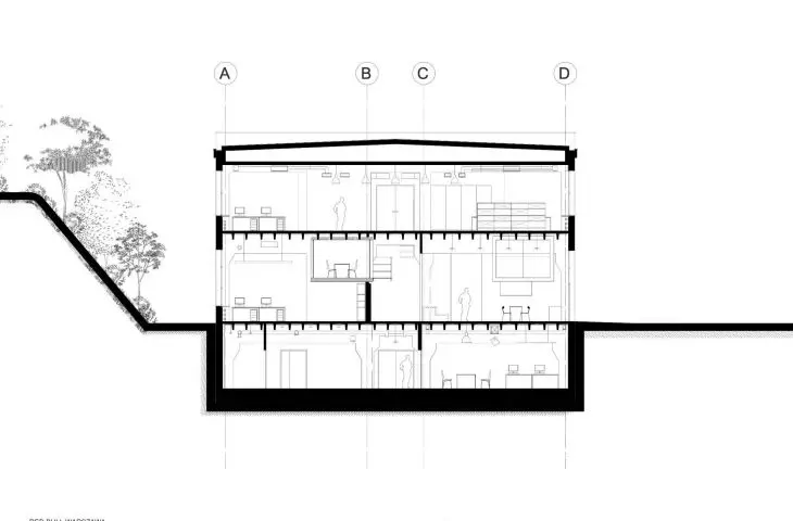 cross-section