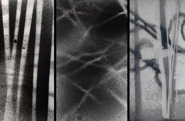 Palmiarnia aktywna, szkice projektowe