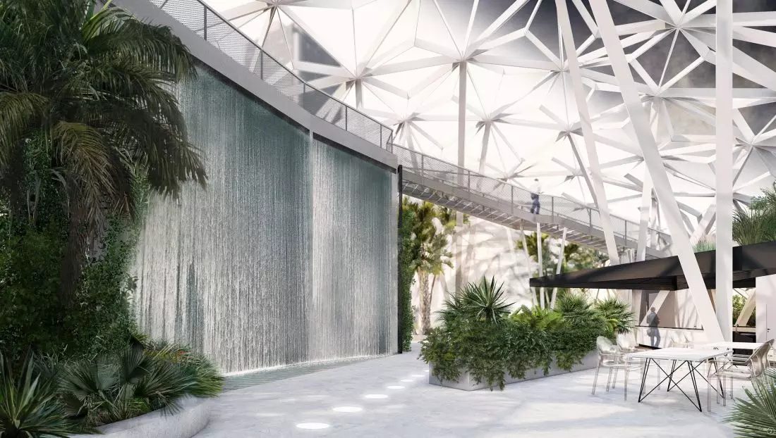 Palmiarnia projektu
Pauliny Pasztaleniec