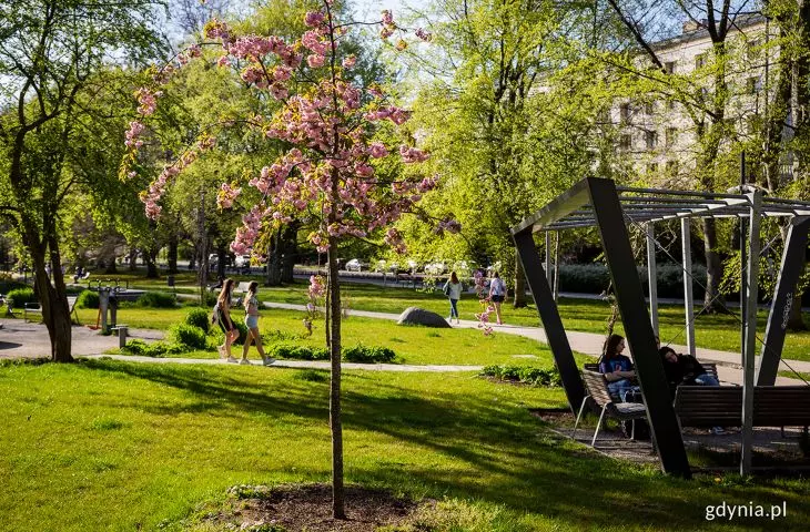 Park Centralny w Gdyni po dwóch etapach modernizacji 