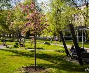 Park Centralny w Gdyni po dwóch etapach modernizacji 
