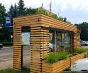 green stop at Stanislaw Musiala Street