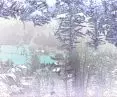 frost