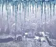 icicles