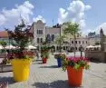 Zywiec market (July 2021)