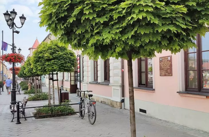 Young maple trees were planted around the marketplace