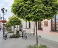 Young maple trees were planted around the marketplace