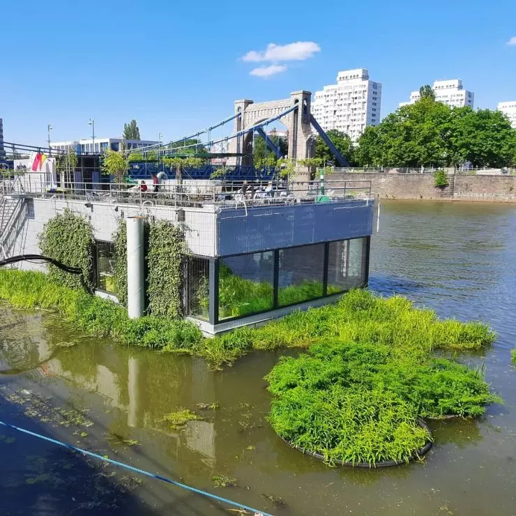 widok on Odra Centrum and Grunwaldzki Bridge