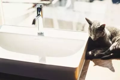 umywalka Duravit DuraSquare umywalka Duravit DuraSquare