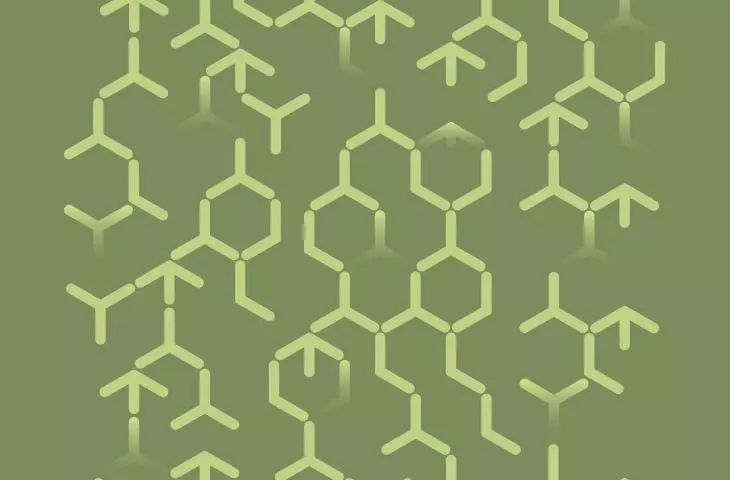 Graphics accompanying the project