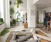Projekt Kori, siedziska