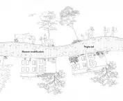 Museum design, history diagram