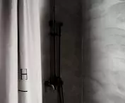 Shower in a black and white bathroom