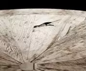 Living room table detail