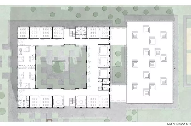 Projekt Birch School, rzut piętra