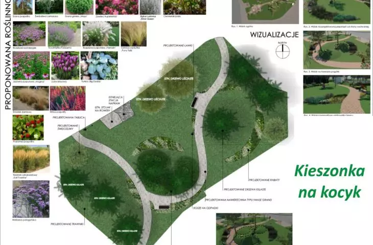 Projekt parku „Kieszonka na kocyk” na Pustkach Cisowskich-Demptowie