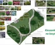 Projekt parku „Kieszonka na kocyk” na Pustkach Cisowskich-Demptowie