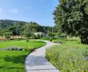 Park 
