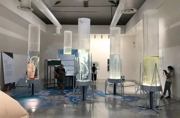 Venice Biennale