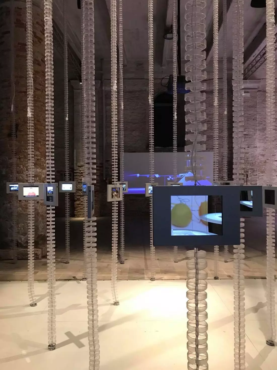 Arsenale