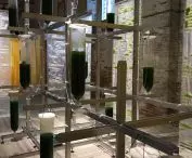 Venice Biennale