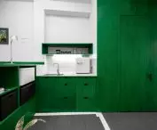 kitchenette with greenery