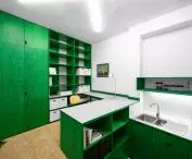 green development of the administrative part and document archive