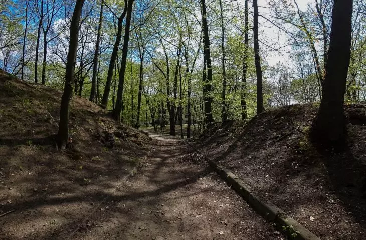 Schön Park currently