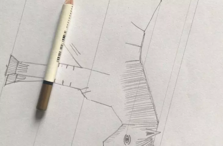 Studia w Haifie, zajęcia