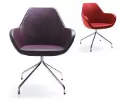 Fan Seats