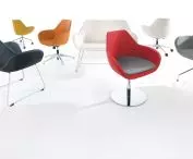 Fan Seats