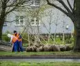 Tree planting in Gdansk