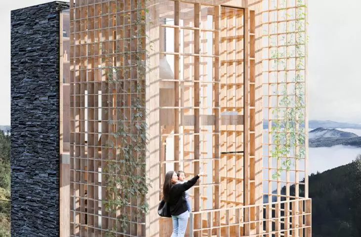 The Net project, entry
