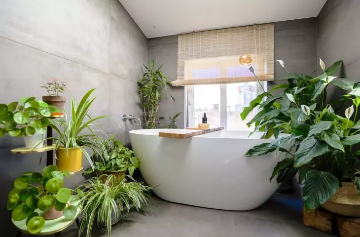 Bathroom with numerous plants