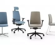 Motto swivel chair collection