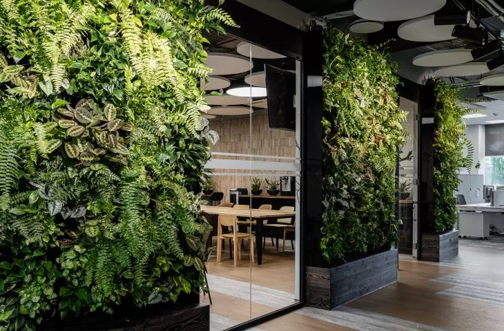 Columbus Energy office in Krakow, living green walls