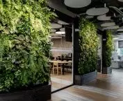 Columbus Energy office in Krakow, living green walls