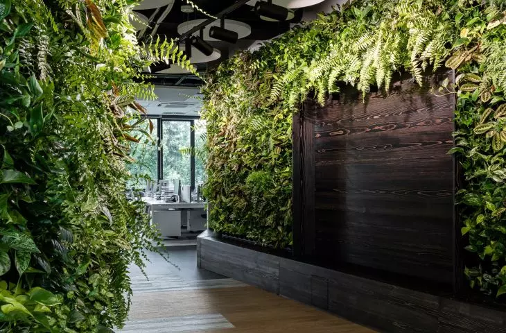 Living green walls in the office